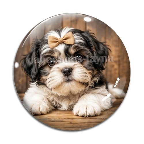 Cabochon chien, résine ou verre rond différente taille