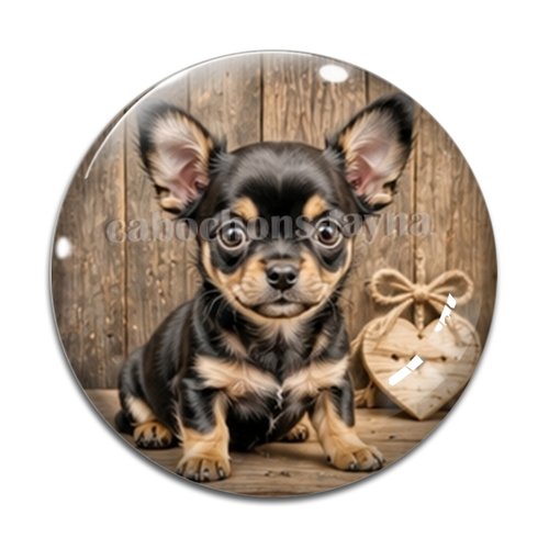 Cabochon chien, résine ou verre rond différente taille