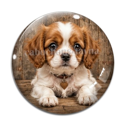 Cabochon chien, résine ou verre rond différente taille