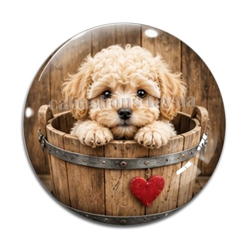 Cabochon chien, résine ou verre rond différente taille