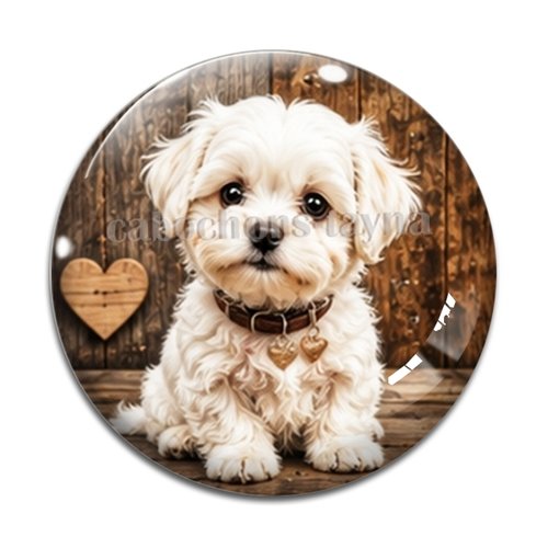 Cabochon chien, résine ou verre rond différente taille