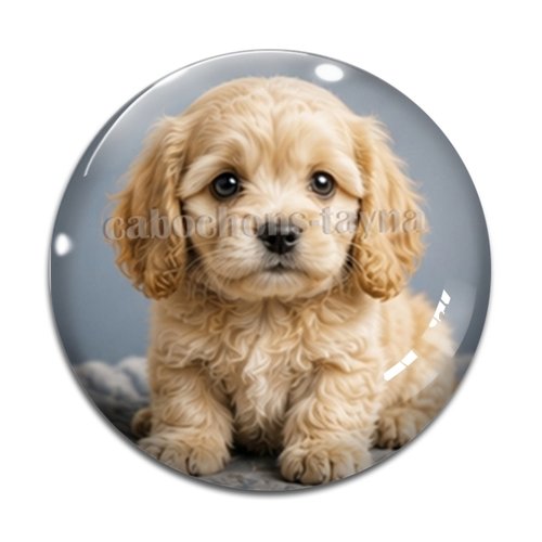 Cabochon chien, résine ou verre rond différente taille