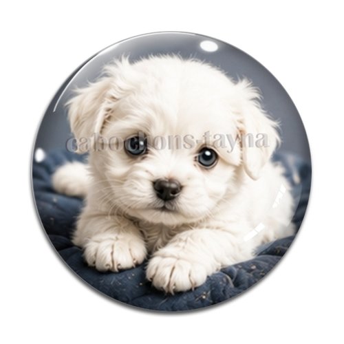 Cabochon chien, résine ou verre rond différente taille