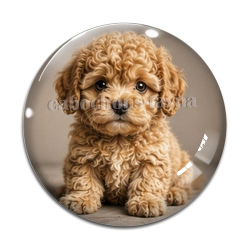 Cabochon chien, résine ou verre rond différente taille