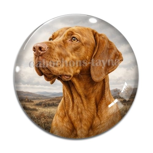 Cabochon chien, résine ou verre rond différente taille