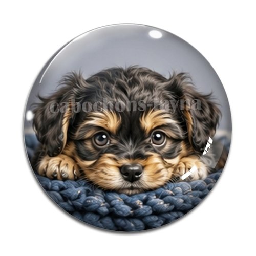 Cabochon chien, résine ou verre rond différente taille