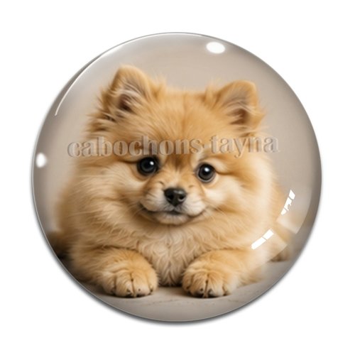 Cabochon chien, résine ou verre rond différente taille
