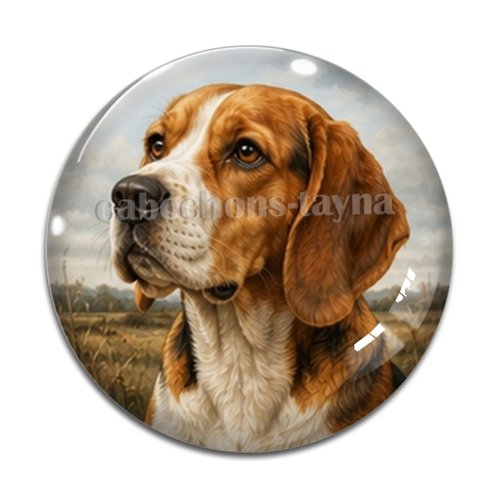 Cabochon chien, résine ou verre rond différente taille