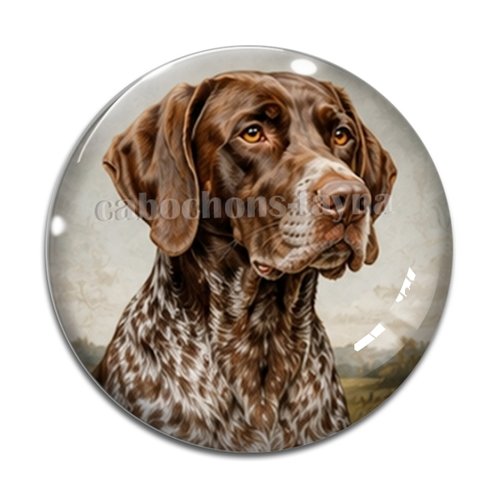 Cabochon chien, résine ou verre rond différente taille