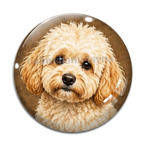 Cabochon chien, résine ou verre rond différente taille