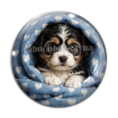 Cabochon chien, résine ou verre rond différente taille