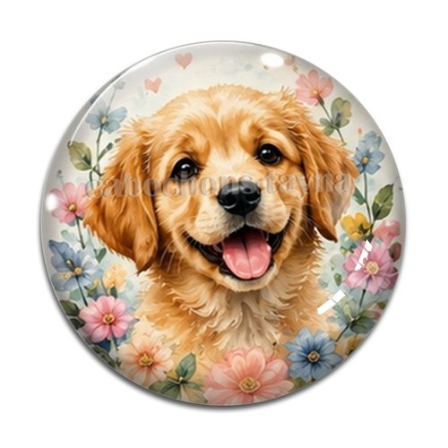 Cabochon chien, résine ou verre rond différente taille