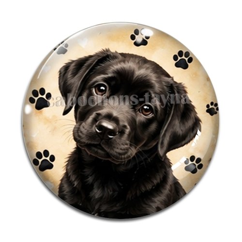 Cabochon chien, résine ou verre rond différente taille