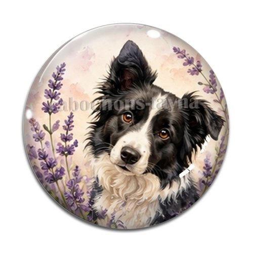 Cabochon chien, résine ou verre rond différente taille