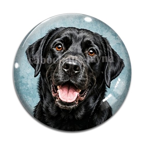 Cabochon chien, résine ou verre rond différente taille