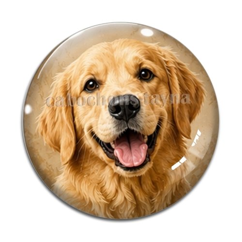 Cabochon chien, résine ou verre rond différente taille