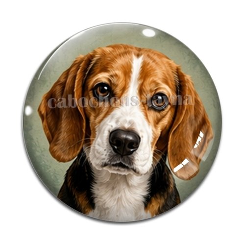 Cabochon chien, résine ou verre rond différente taille