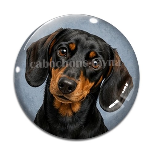 Cabochon chien, résine ou verre rond différente taille