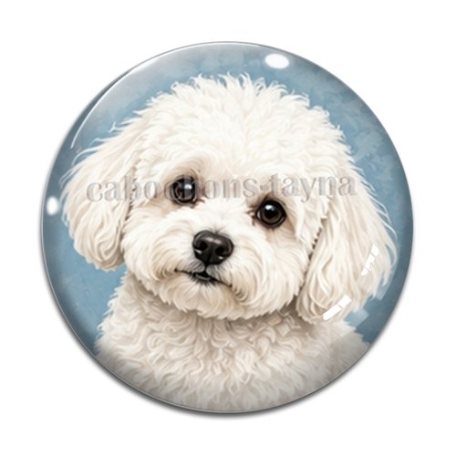 Cabochon chien, résine ou verre rond différente taille