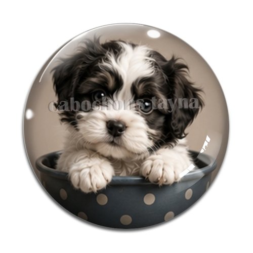 Cabochon chien, résine ou verre rond différente taille