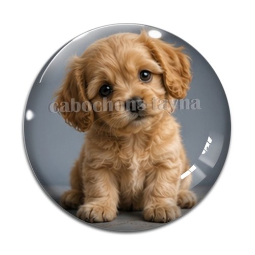 Cabochon chien, résine ou verre rond différente taille