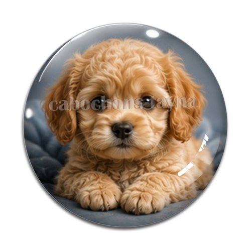 Cabochon chien, résine ou verre rond différente taille