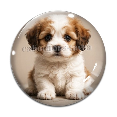 Cabochon chien, résine ou verre rond différente taille