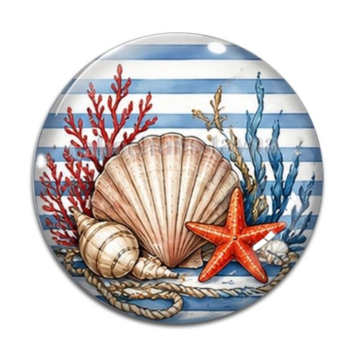 Cabochon coquillage, cabochon résine, verre rond différente taille