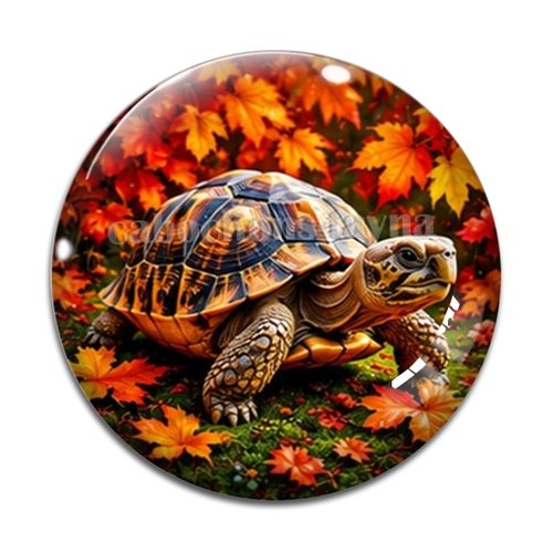 Cabochon tortue de terre, cabochon résine ou verre rond différente taille