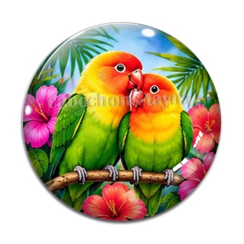Cabochon oiseau, cabochon résine ou verre rond différente taille