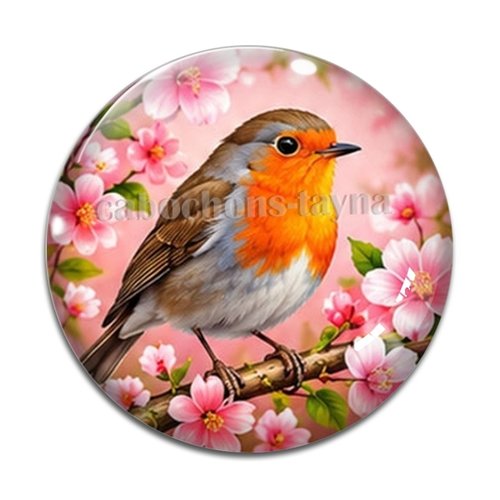 Cabochon oiseau, cabochon résine ou verre rond différente taille
