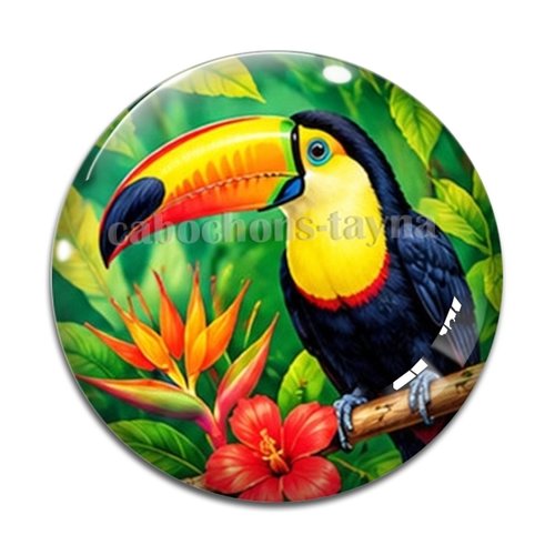 Cabochon toucan, cabochon résine ou verre rond différente taille