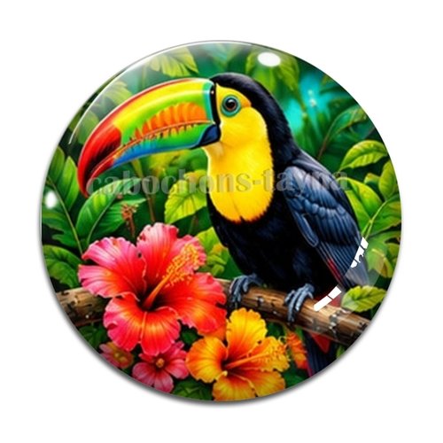 Cabochon toucan, cabochon résine ou verre rond différente taille