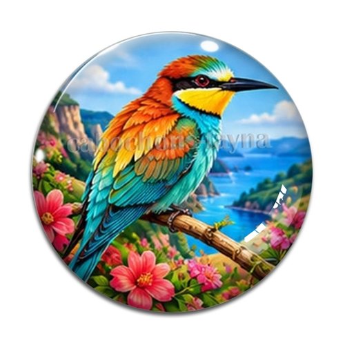 Cabochon oiseau, cabochon résine ou verre rond différente taille