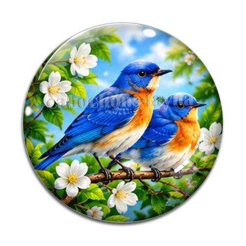 Cabochon oiseau, cabochon résine ou verre rond différente taille