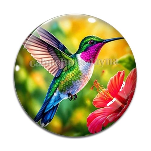 Cabochon oiseau, cabochon résine ou verre rond différente taille