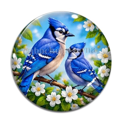 Cabochon oiseau, cabochon résine ou verre rond différente taille