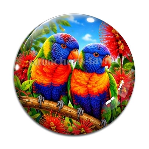 Cabochon oiseau, cabochon résine ou verre rond différente taille