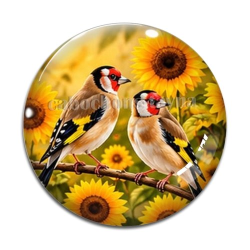 Cabochon oiseau, cabochon résine ou verre rond différente taille