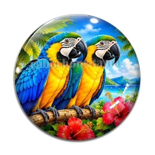 Cabochon perroquet, cabochon résine ou verre rond différente taille