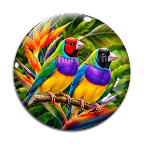 Cabochon oiseau, cabochon résine ou verre rond différente taille