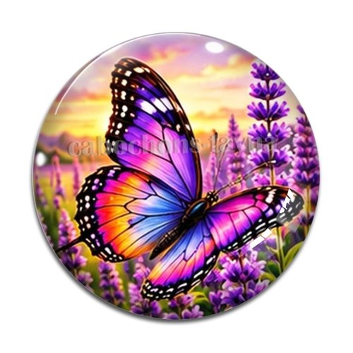 Cabochon papillon, cabochon résine ou verre rond différente taille