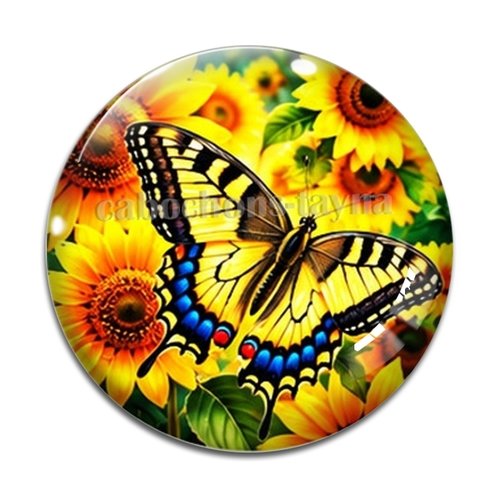 Cabochon papillon, cabochon résine ou verre rond différente taille