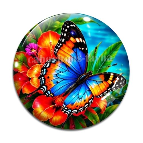 Cabochon papillon, cabochon résine ou verre rond différente taille