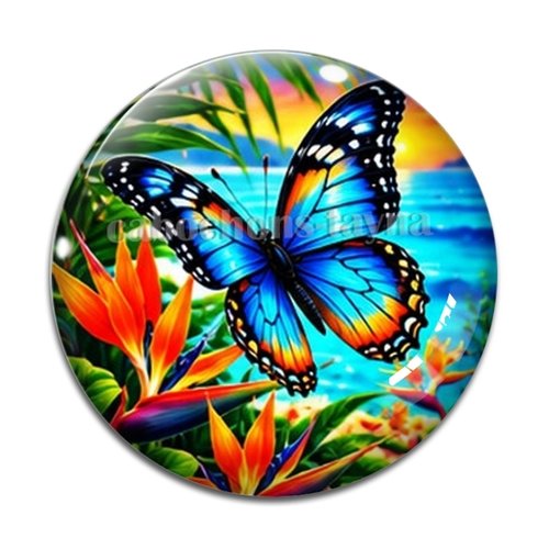 Cabochon papillon, cabochon résine ou verre rond différente taille