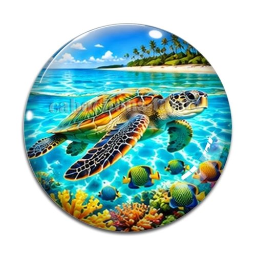 Cabochon tortue de mer, cabochon résine ou verre rond différente taille