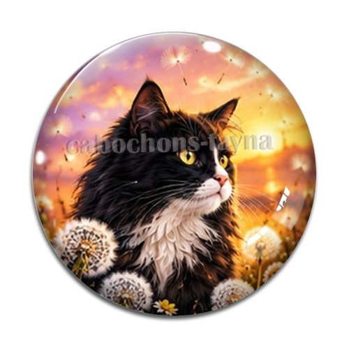 Cabochon chat, résine ou verre rond différente taille