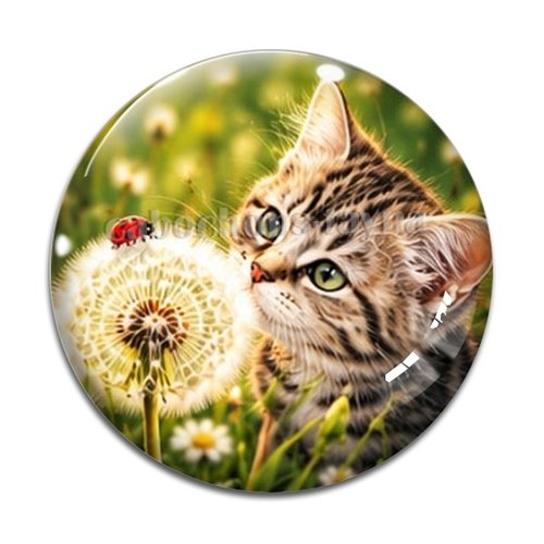 Cabochon chat, résine ou verre rond différente taille