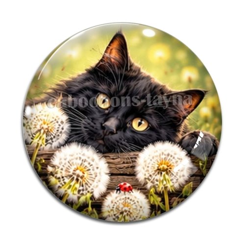 Cabochon chat, résine ou verre rond différente taille