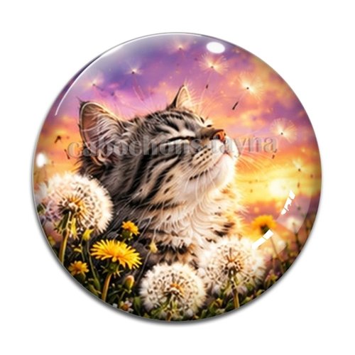 Cabochon chat, résine ou verre rond différente taille